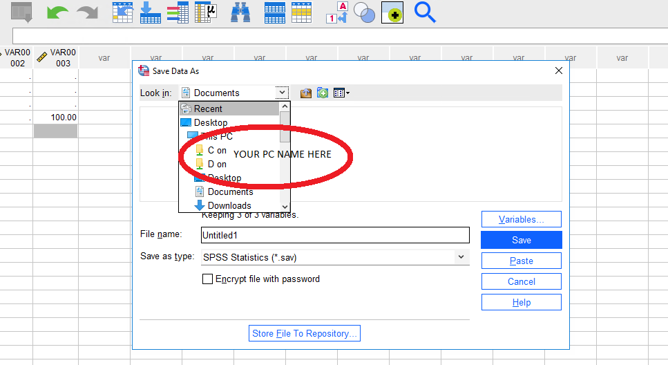 spss save on local pc